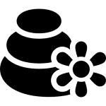 Детоксикатори